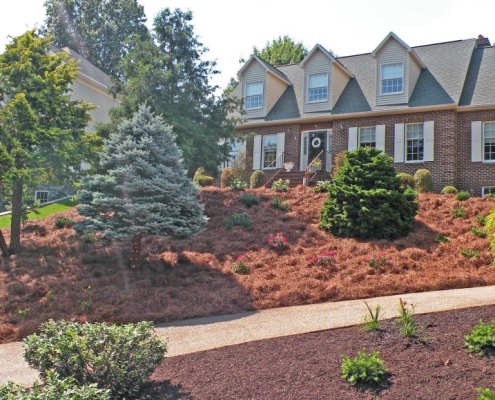 Wood mulch or pine straw